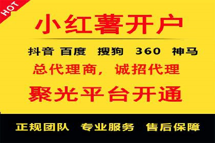 百度优化推广案例剖析：某电商平台的成功之路